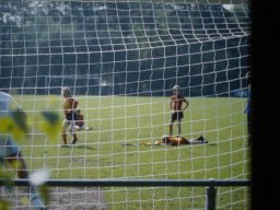 0DIA 1985 RAVA PUPS 1